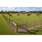 Agricultural Fencing for Horse Farms and Ranches in Palm Beach